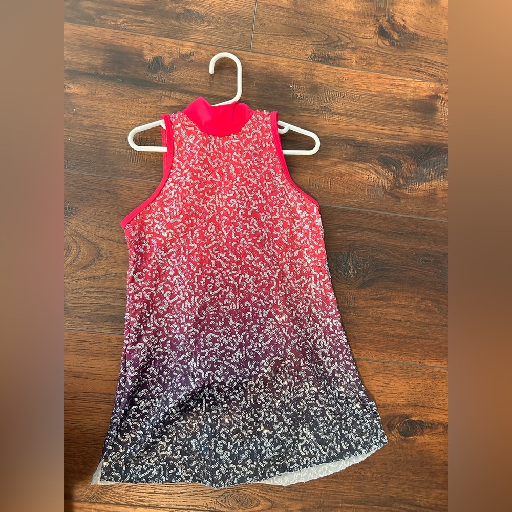 Balera Pink and Gray Sequined Costume